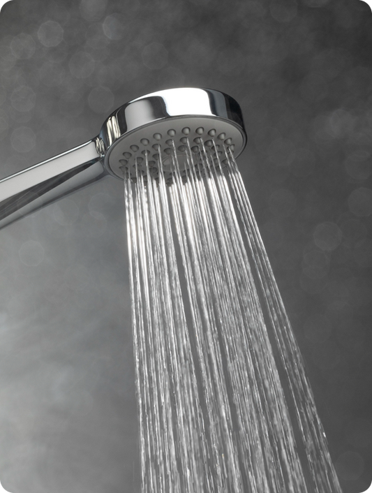 Novoflo Pod Shower filter